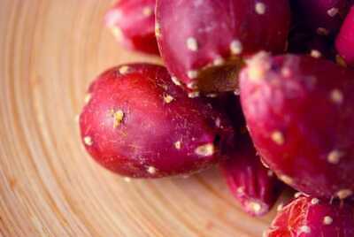 Buy Organic Prickly Pear Fruit & Pad Powder Vitamin C Calcium