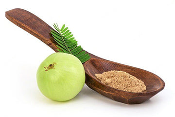 11 Powerful Health Benefits of Organic Amla Powder: A Magnificent Superfood Powder!