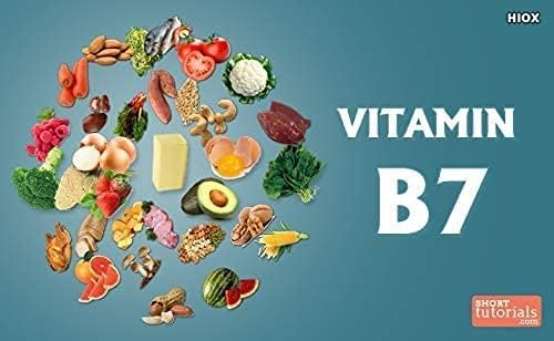 Plant-Based Natural Biotin Powder 100gms