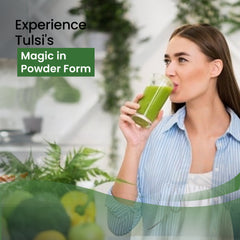 Organic Holy Basil leaves Tulsi Powder