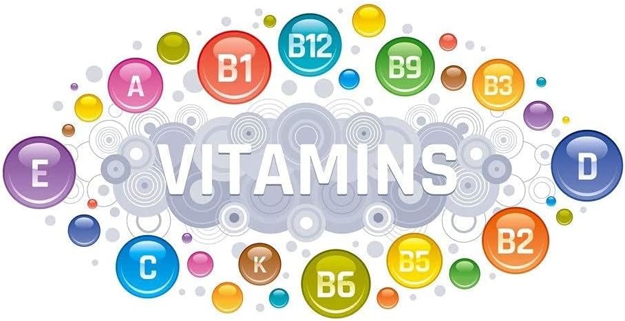 Plant Based Wholefood Multivitamin Powder
