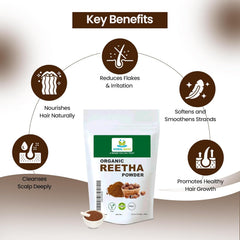 Organic Reetha Powder