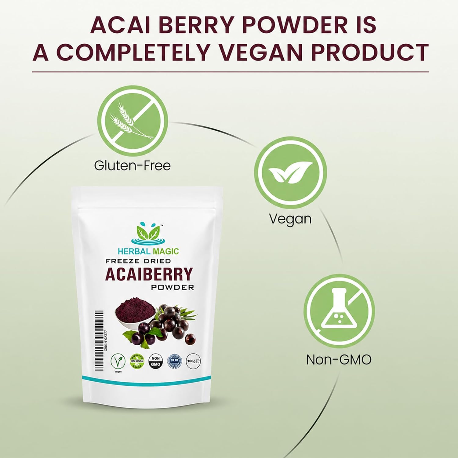 Freeze Dried Acai Berry Powder