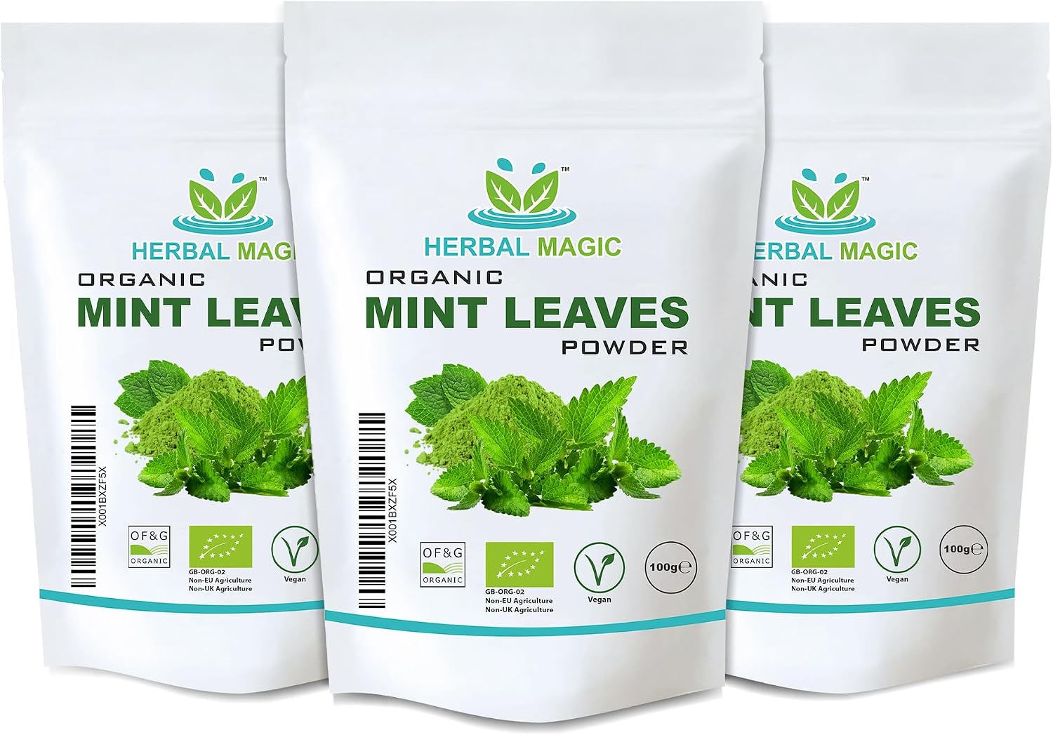 Organic Mint Leaves Powder