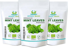 Organic Mint Leaves Powder