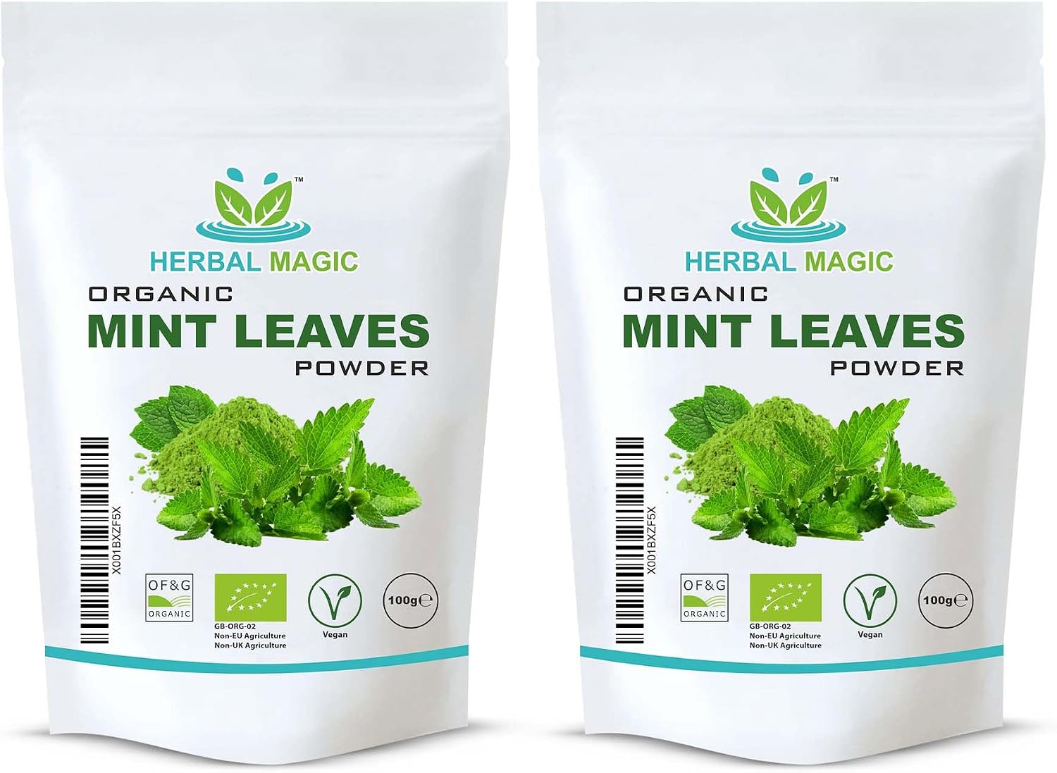 Organic Mint Leaves Powder