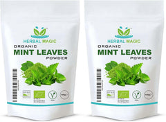 Organic Mint Leaves Powder