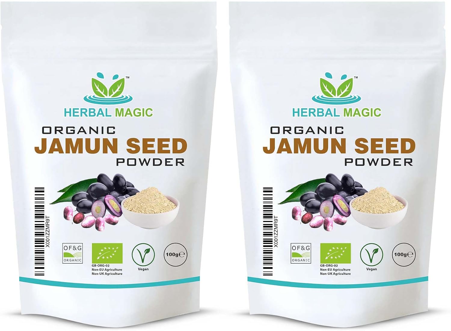 Organic Jamun Seeds Powder