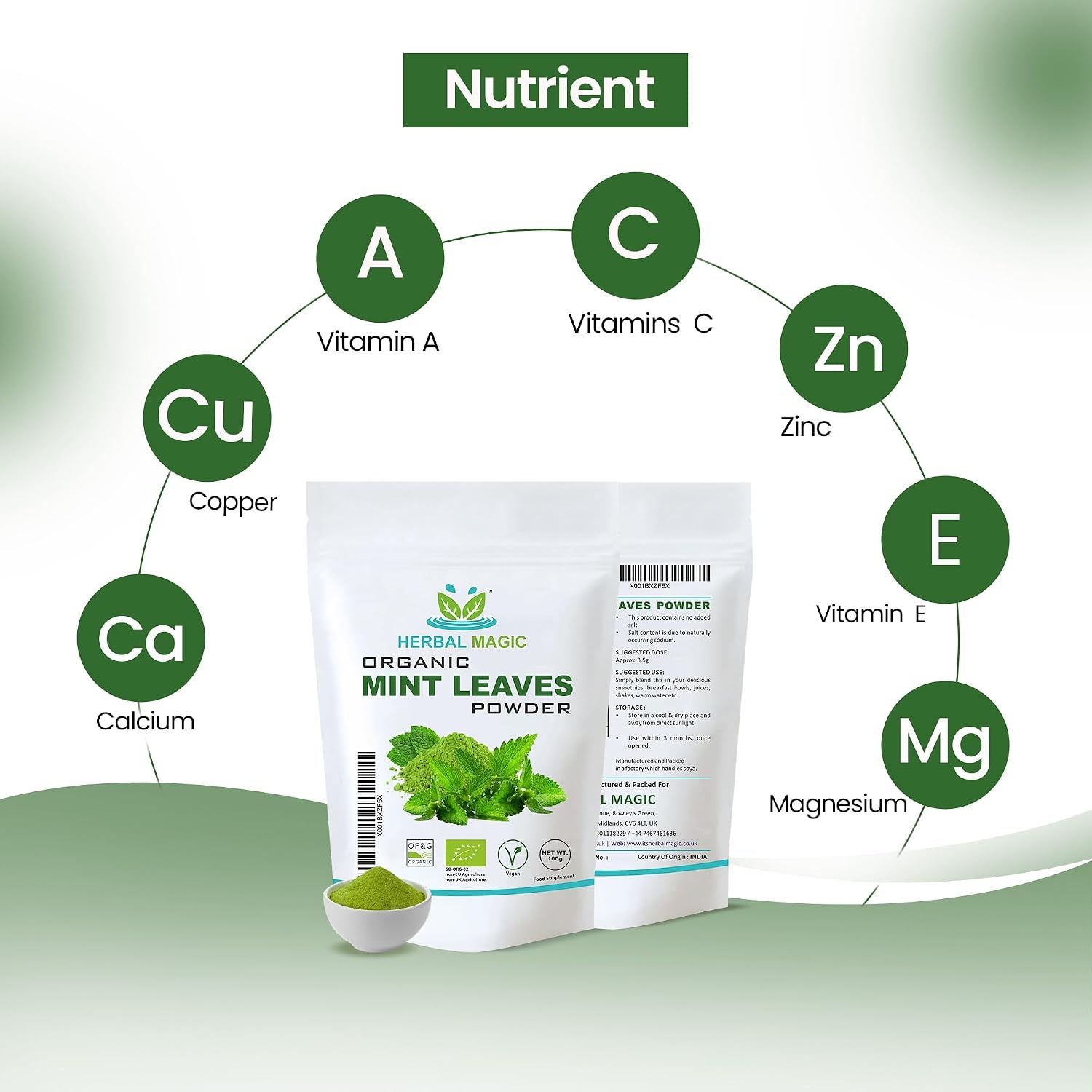 Organic Mint Leaves Powder