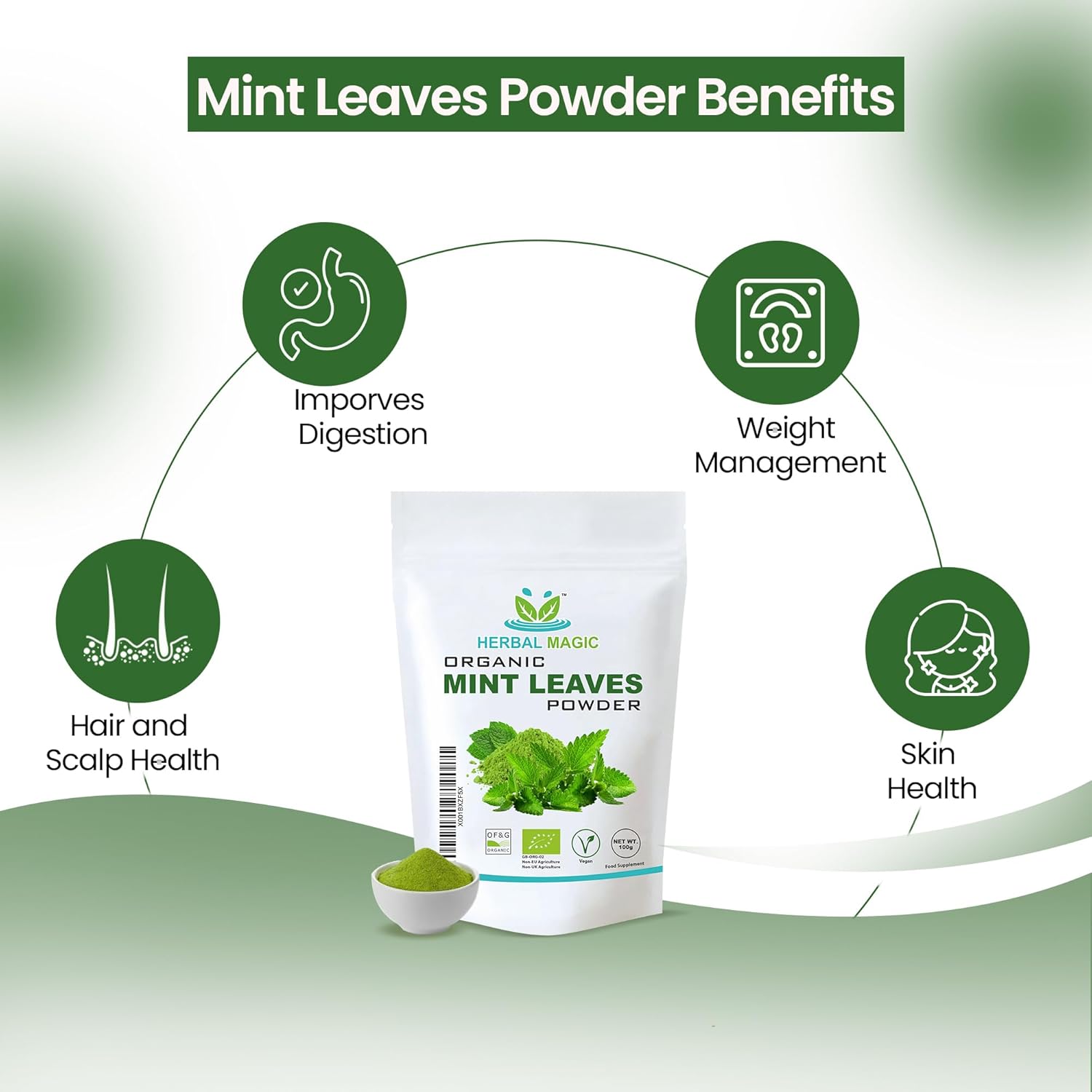 Organic Mint Leaves Powder