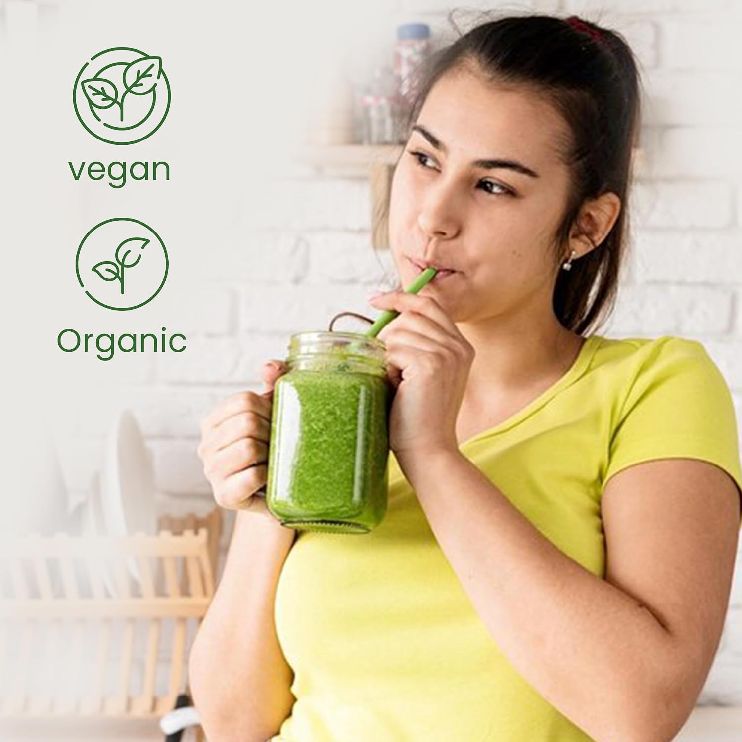 Organic Mint Leaves Powder