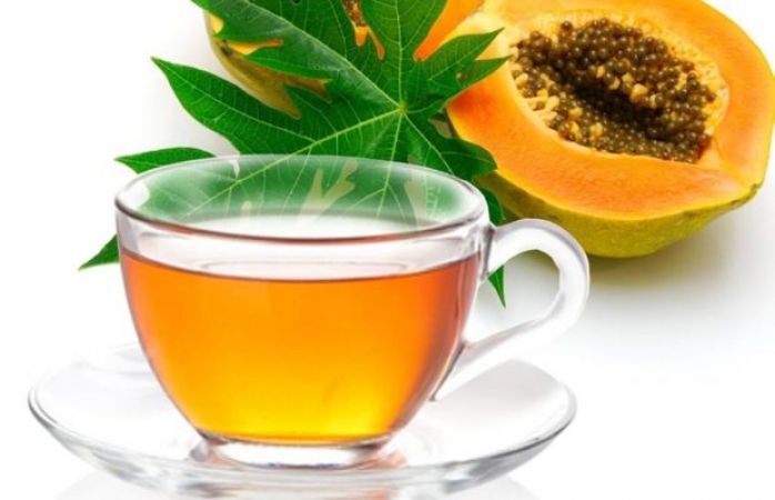 Papaya Leaf Tea - 100gms – itsherbalmagic