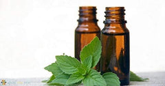 40 lm Pure & Natural Stevia Liquid Drops ( 2x 20 ml Bottles)