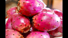 Fresh and Natural Organic Prickly Pear Fruit 