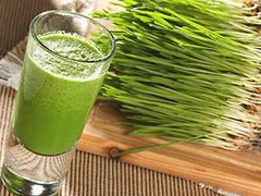 Organic Wheatgrass Juice for Healthy Body